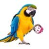 Pagona White and Pink Plastic Bird Ball Toy