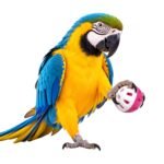 Pagona White and Pink Plastic Bird Ball Toy