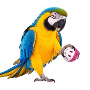 Pagona White and Pink Plastic Bird Ball Toy
