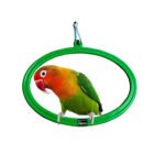 Pagona green oval bird swing with hanging hook