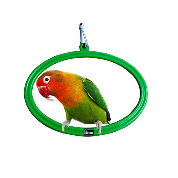 Pagona green oval bird swing with hanging hook