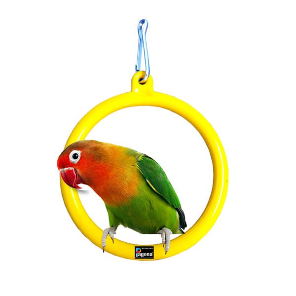 Pagona yellow round bird swing with a lovebird