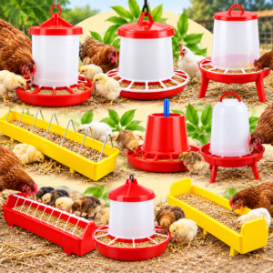 Poultry Feeder